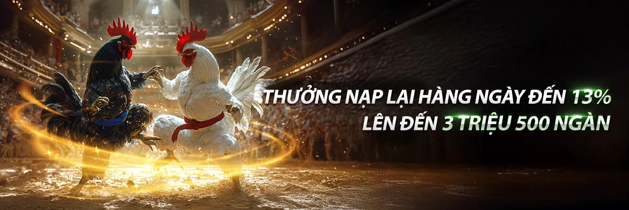 Đá gà trực tuyến MCW19 Login 2026